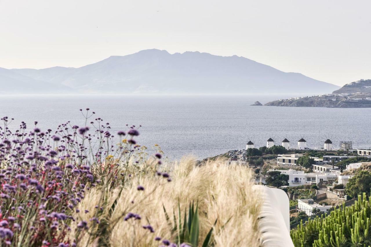 Myconian Kyma, A Member Of Design Hotels Mykonos Town Buitenkant foto